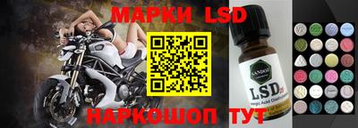 гидропоника Можайск