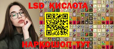 PSILOCYBIN Можга