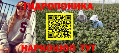 PSILOCYBIN Можга