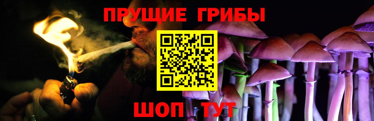 Воскресенск  даркнет сайт  Вход с VPN  Галлюциногенные грибы MAGIC MUSHROOMS  Галлюциногенные грибы Psilocybe 